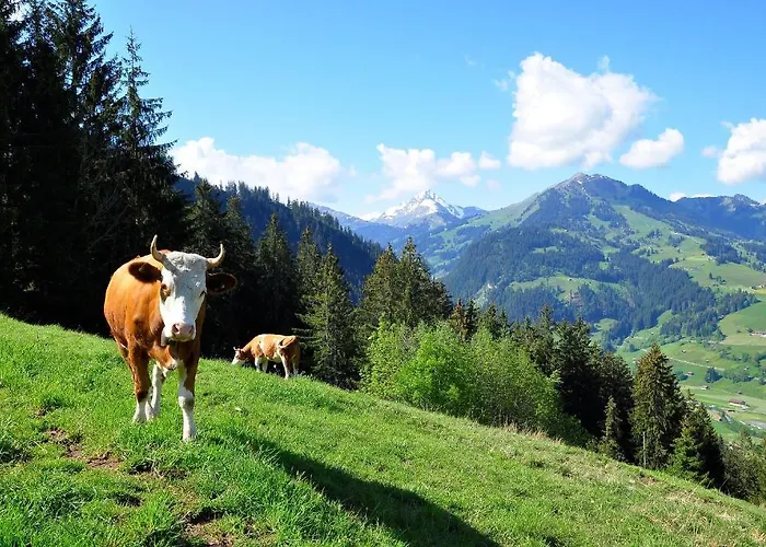 Sonnegg Ξενοδοχείο