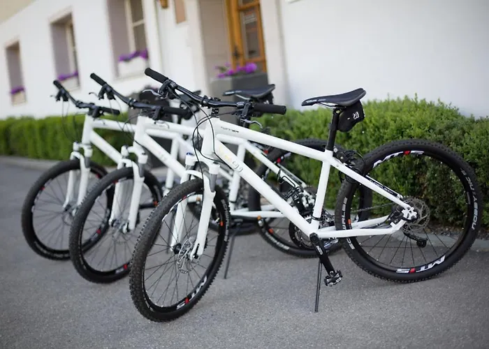 Hotel Sonnegg Zweisimmen