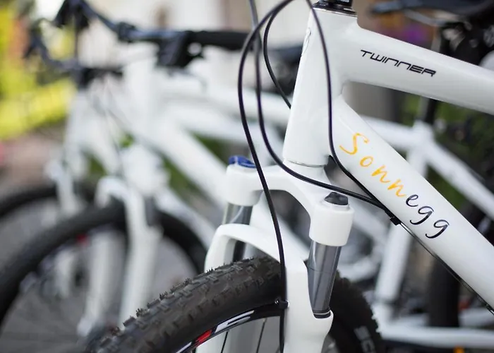 Sonnegg 3* Zweisimmen