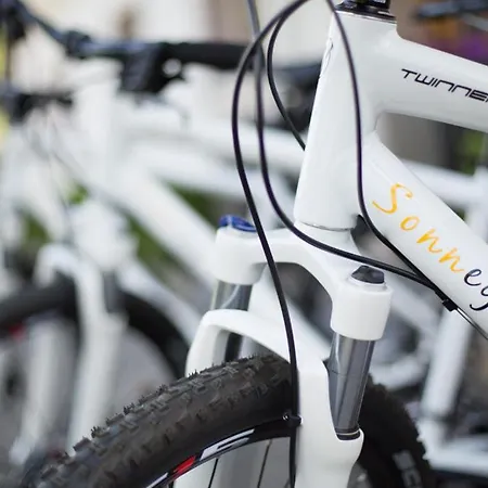 Sonnegg 3* Zweisimmen