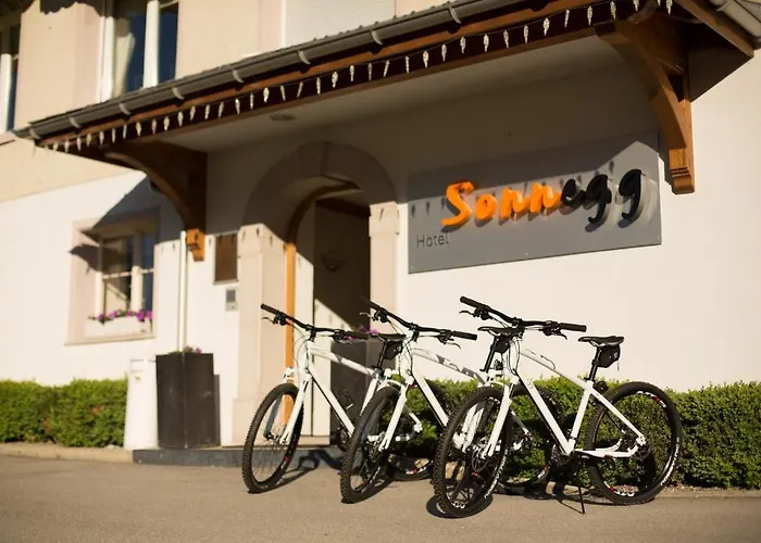 Sonnegg 3* Zweisimmen